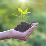 AdobeStock_112721620